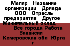 Маляр › Название организации ­ Дриада, ООО › Отрасль предприятия ­ Другое › Минимальный оклад ­ 18 000 - Все города Работа » Вакансии   . Кемеровская обл.,Юрга г.